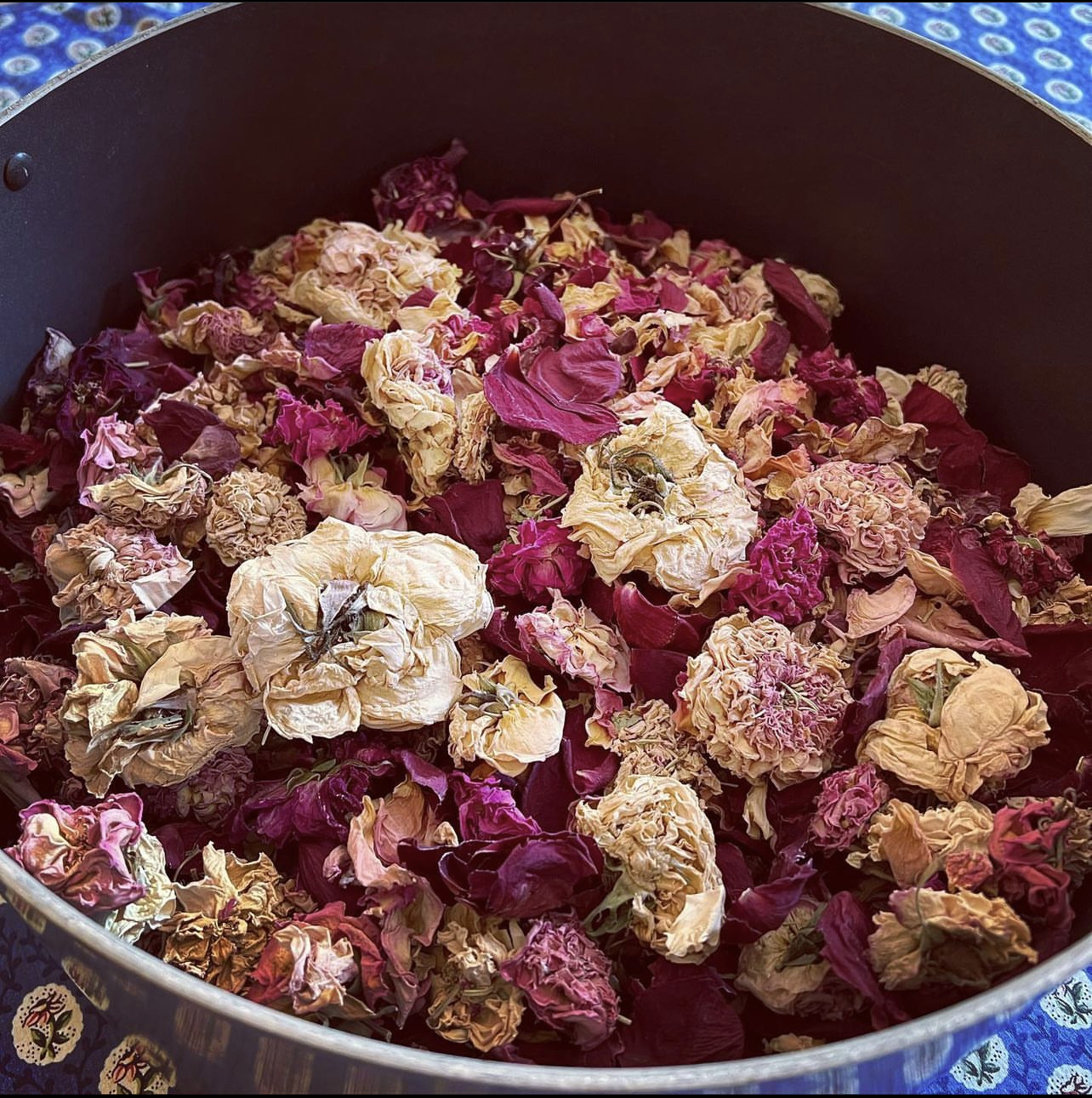 Dried rose flower heads