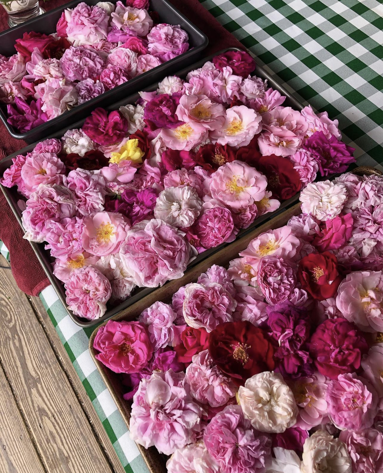 drying whole roses