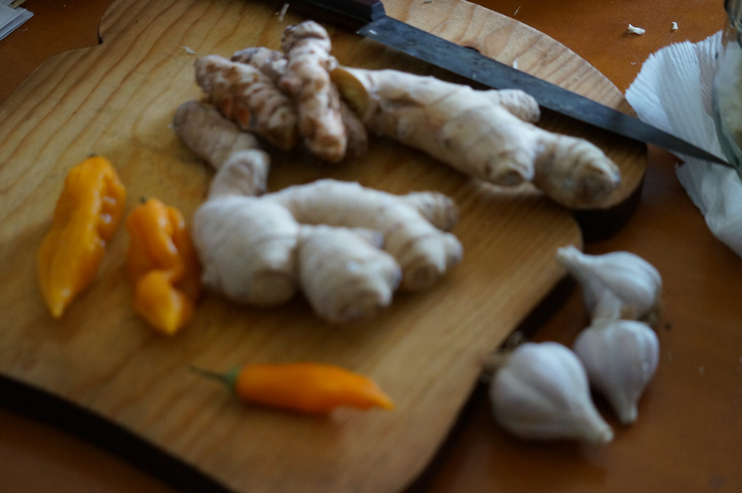 Ginger