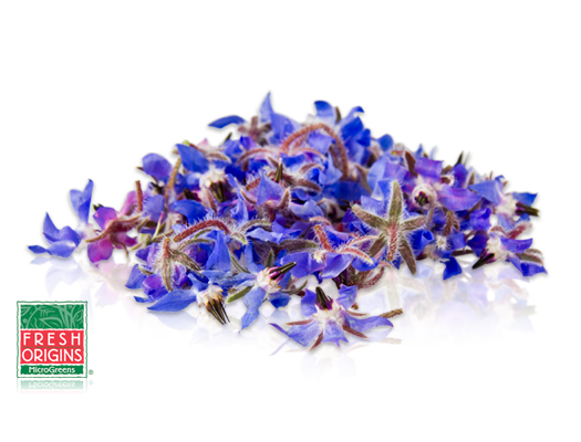 Edible flowers borage