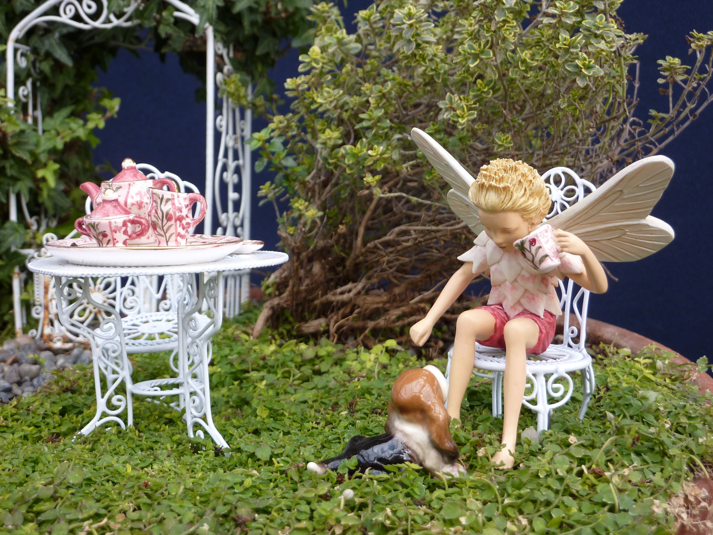 Fairy boy and Dog Tea Party