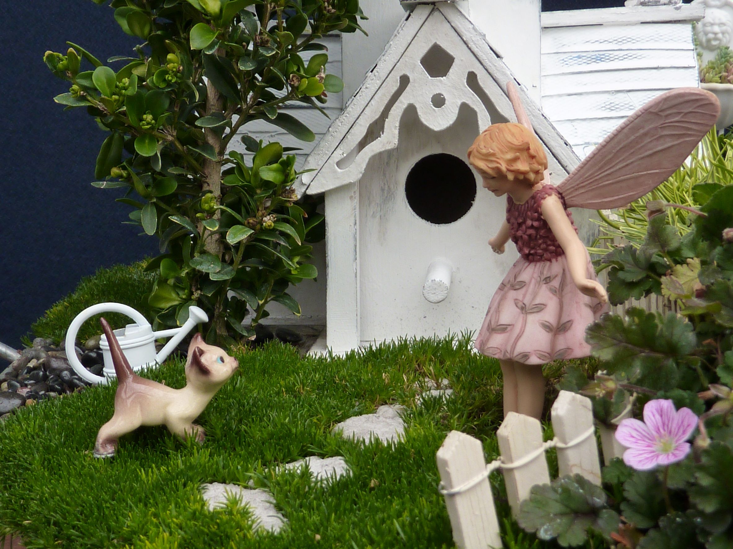 Fairy greeting cat