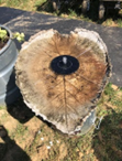 A leaf shaped fountain
