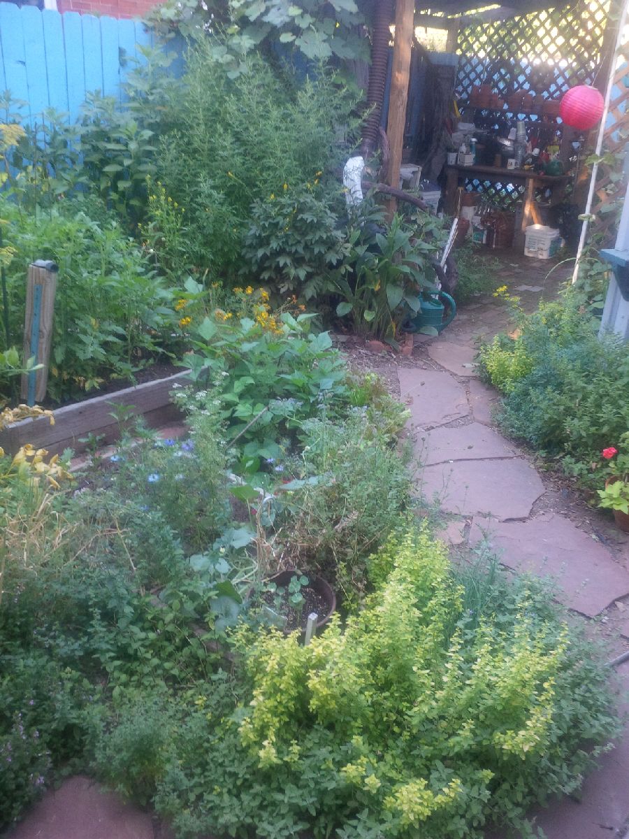 Reddish stone path through a backyard garden