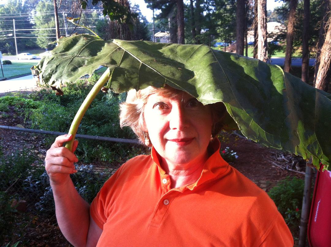 geri leaf