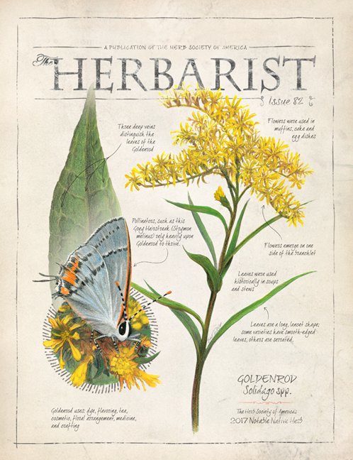 herbartist-cover-web
