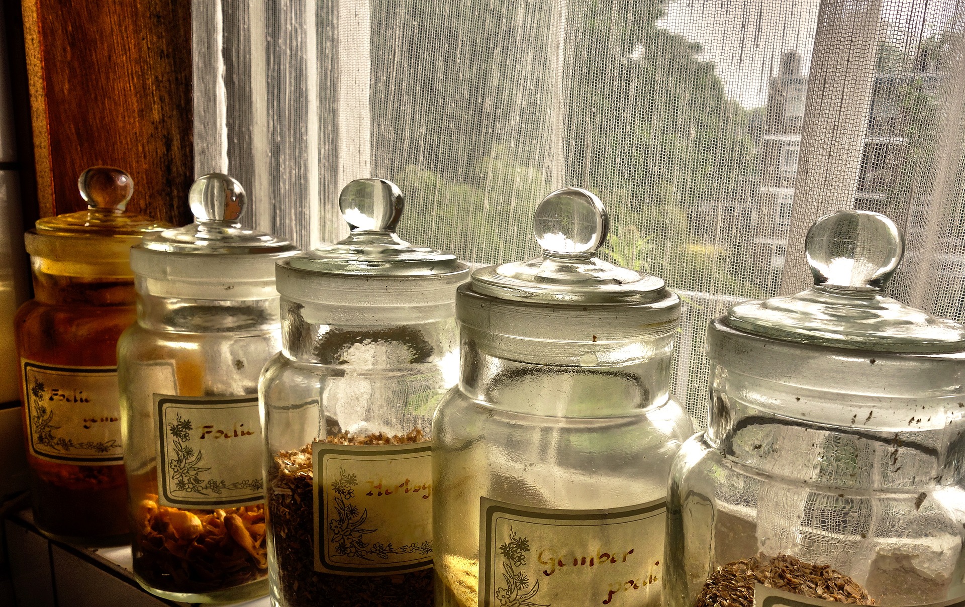 Herbs in jars