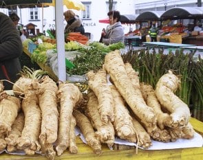Horseradish – October’s Herb of the Month