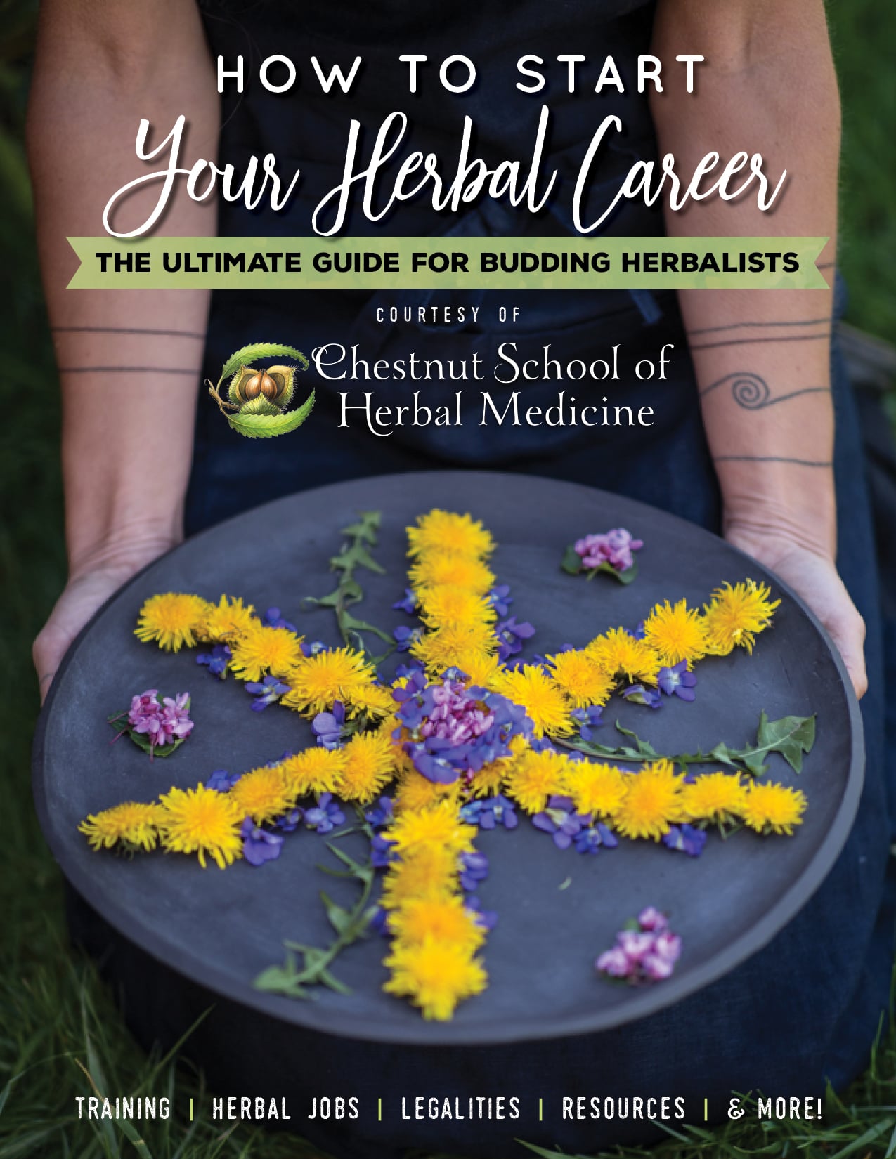 how to be an herbalist