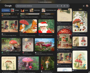 Computer screenshot of images in an internet search results of Amanita mushrooms and Christmas