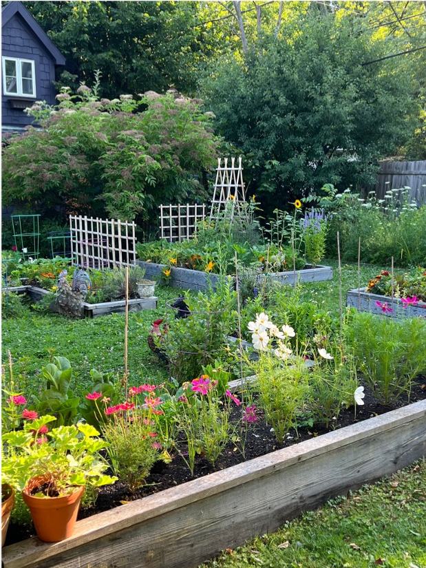 Raised garden and flower beds in a backyard