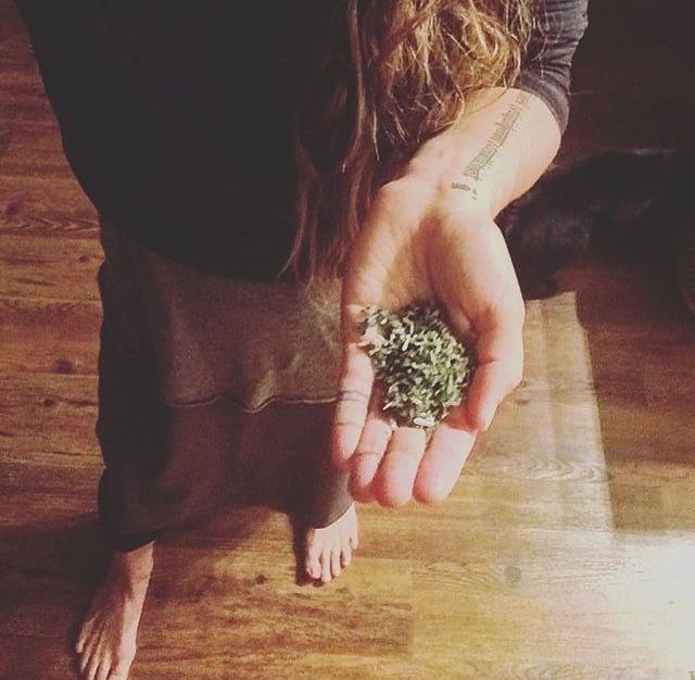 Solomon’s seal