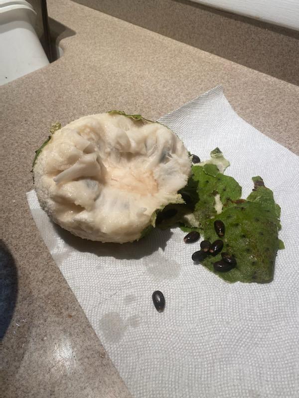 The inside of soursop fruit