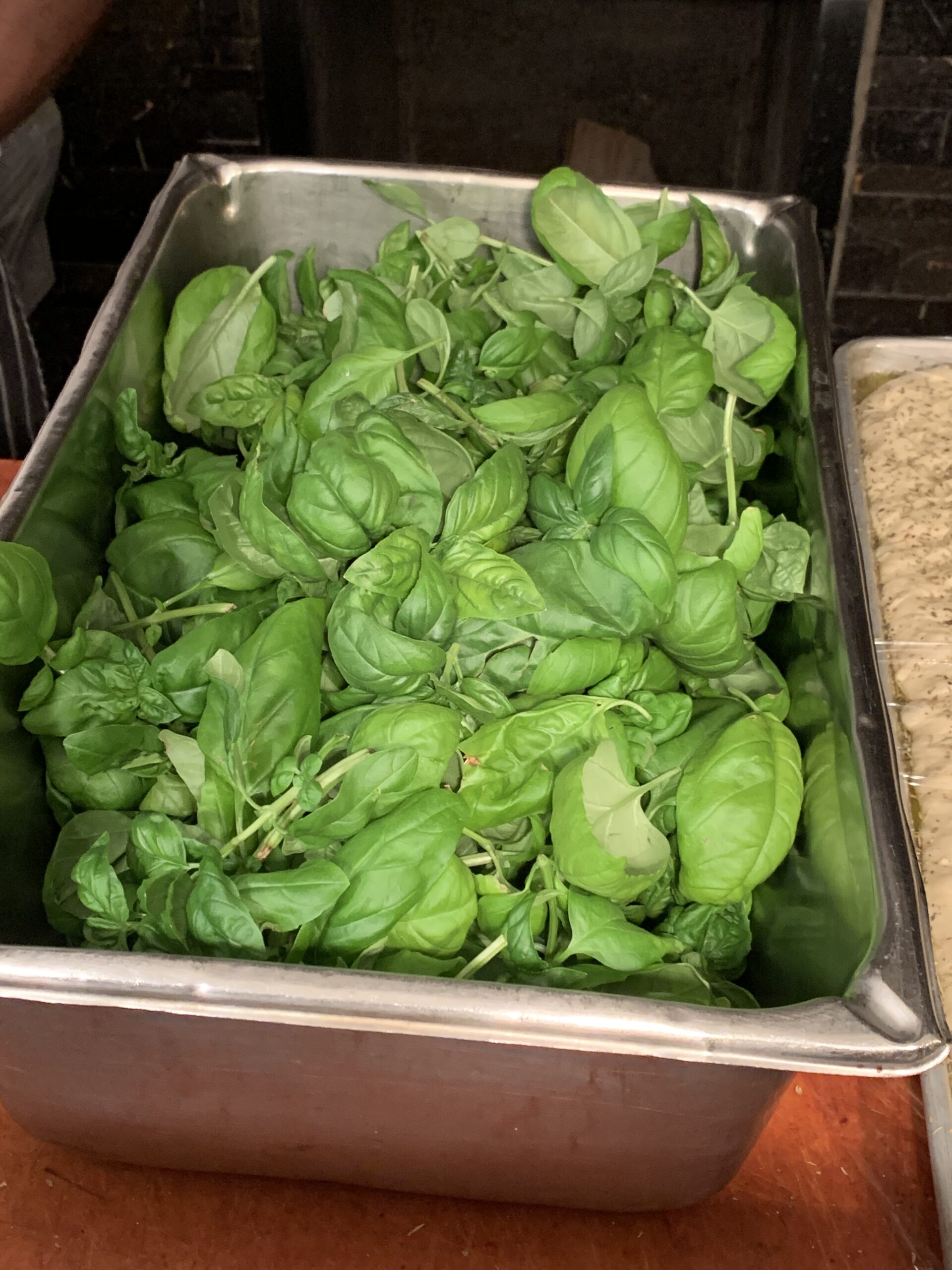 Basil harvested from Farmshelf hydroponic growth chamber