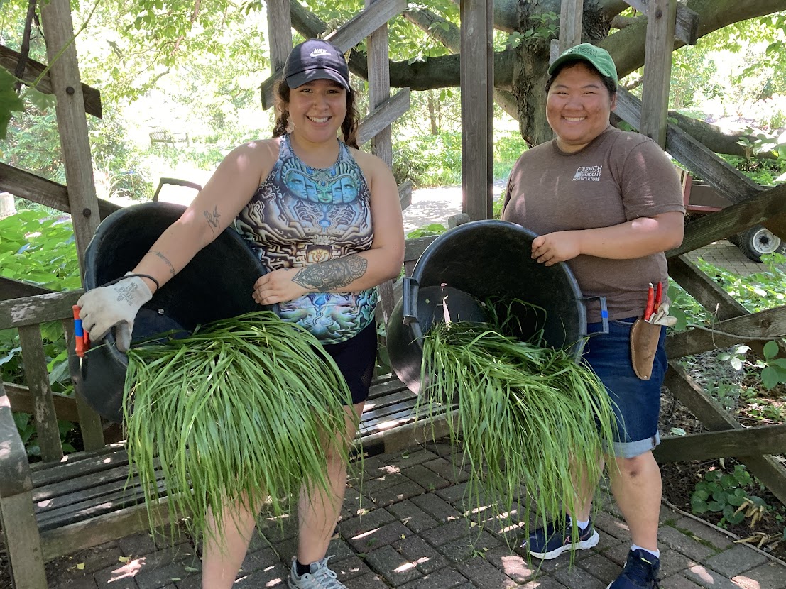 Two women with large black containers full of picked sweetgrass blades.