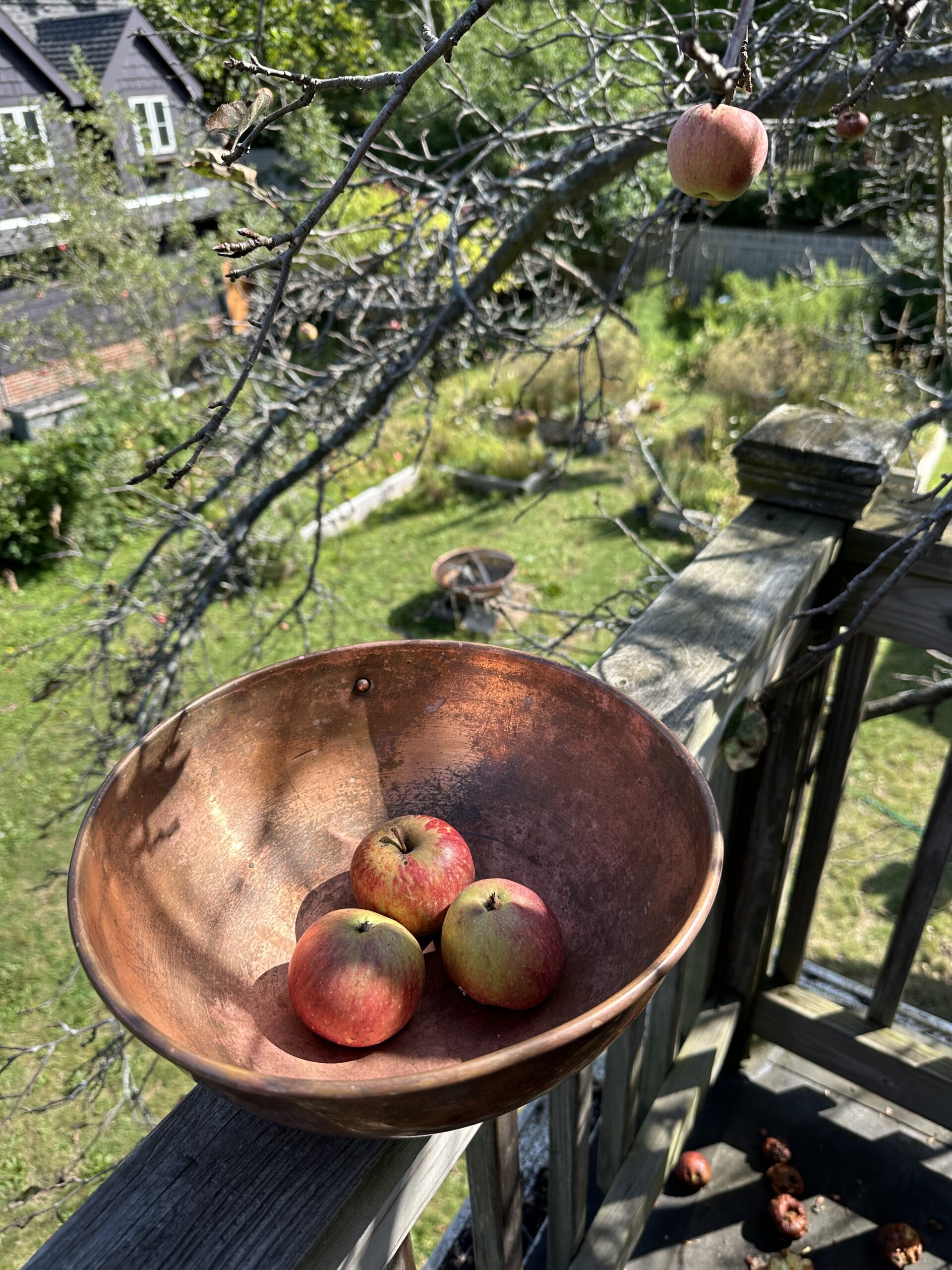 A bowl of apples on the deck