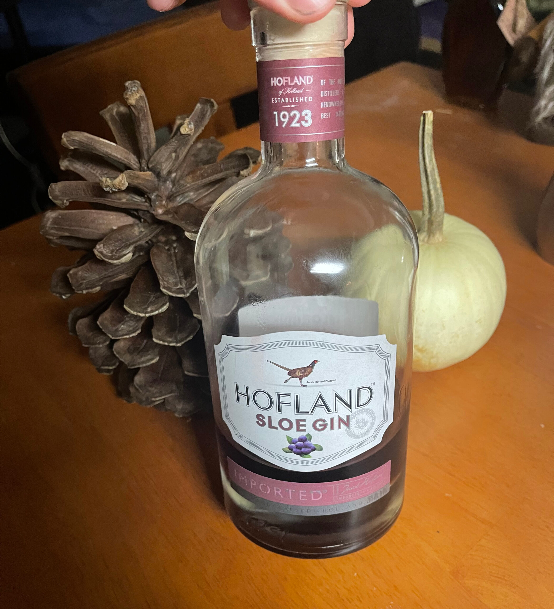 Bottle of sloe gin