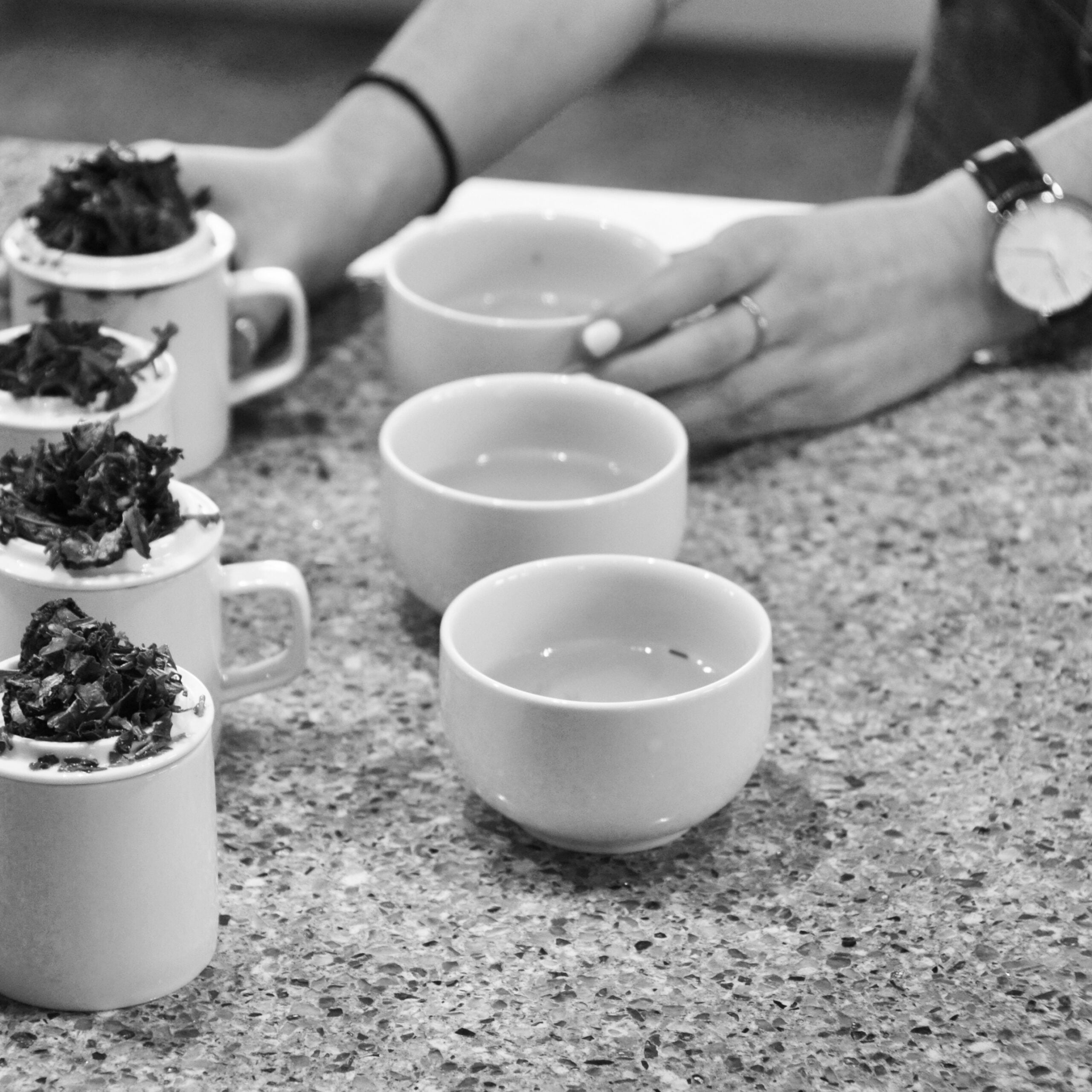 100 blends combine Camellia sinensis