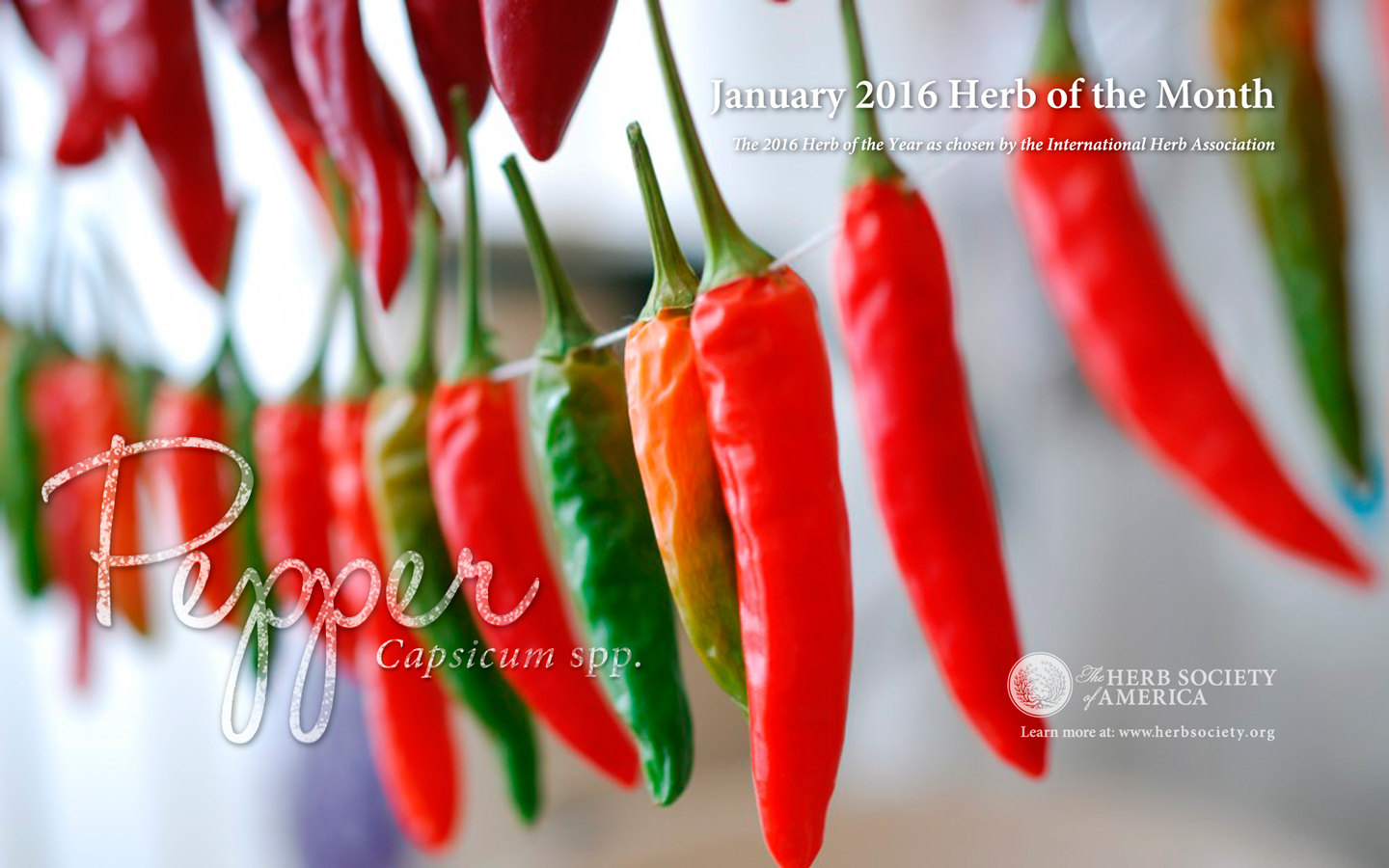 Jan2016_screensaver_1440