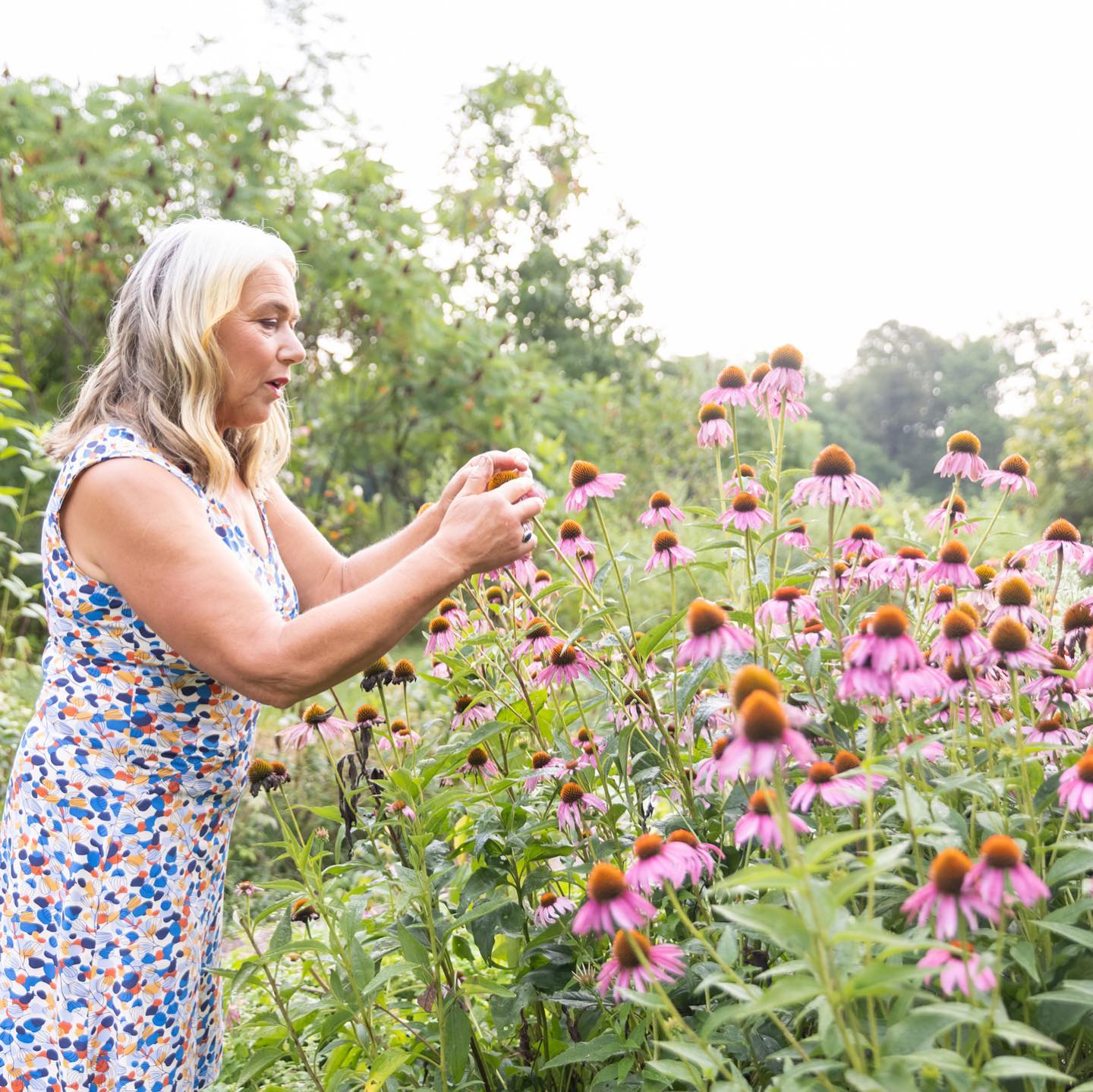 Jane Hawley Stevens with purple coneflower