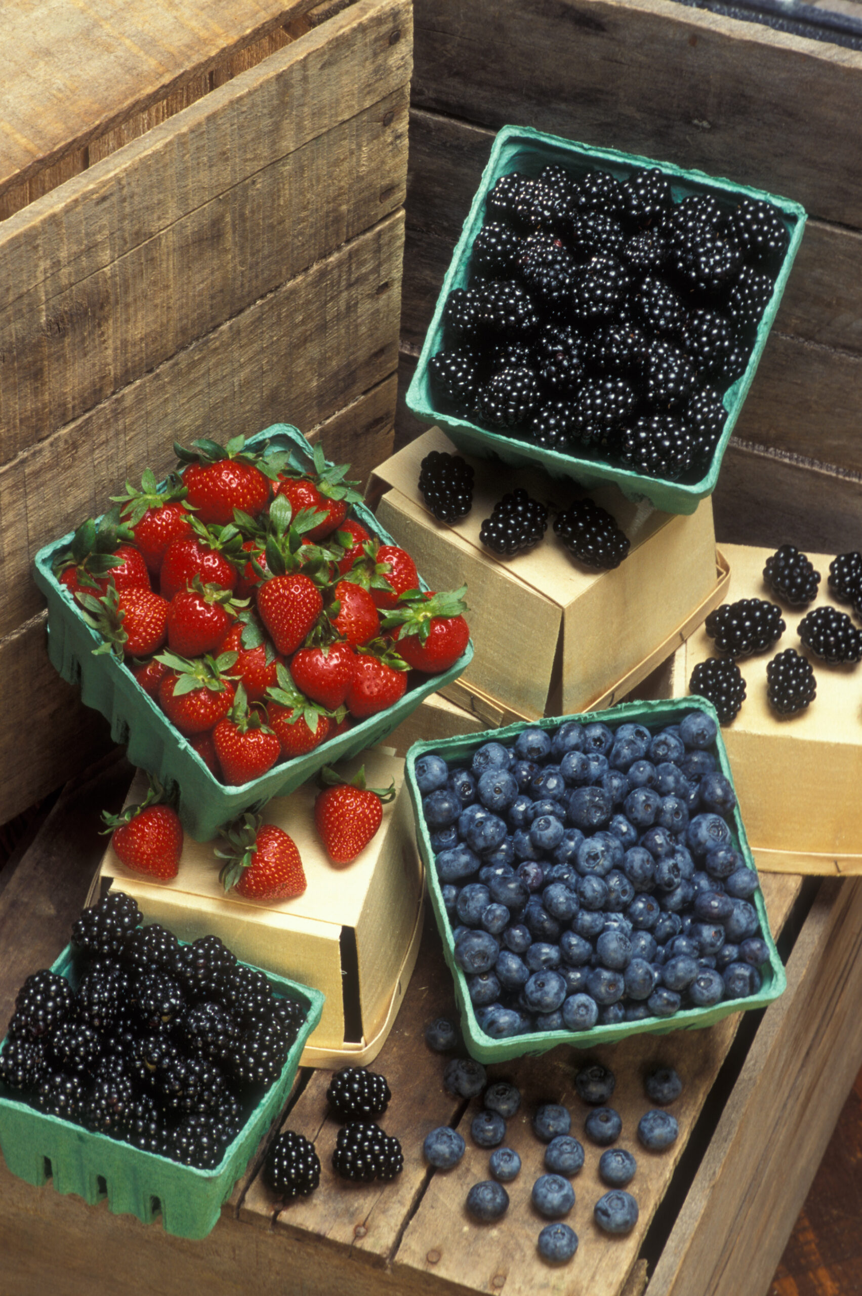 picture of blackberries, blueberries, and strawberries