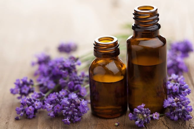 LavendarEssentialOils