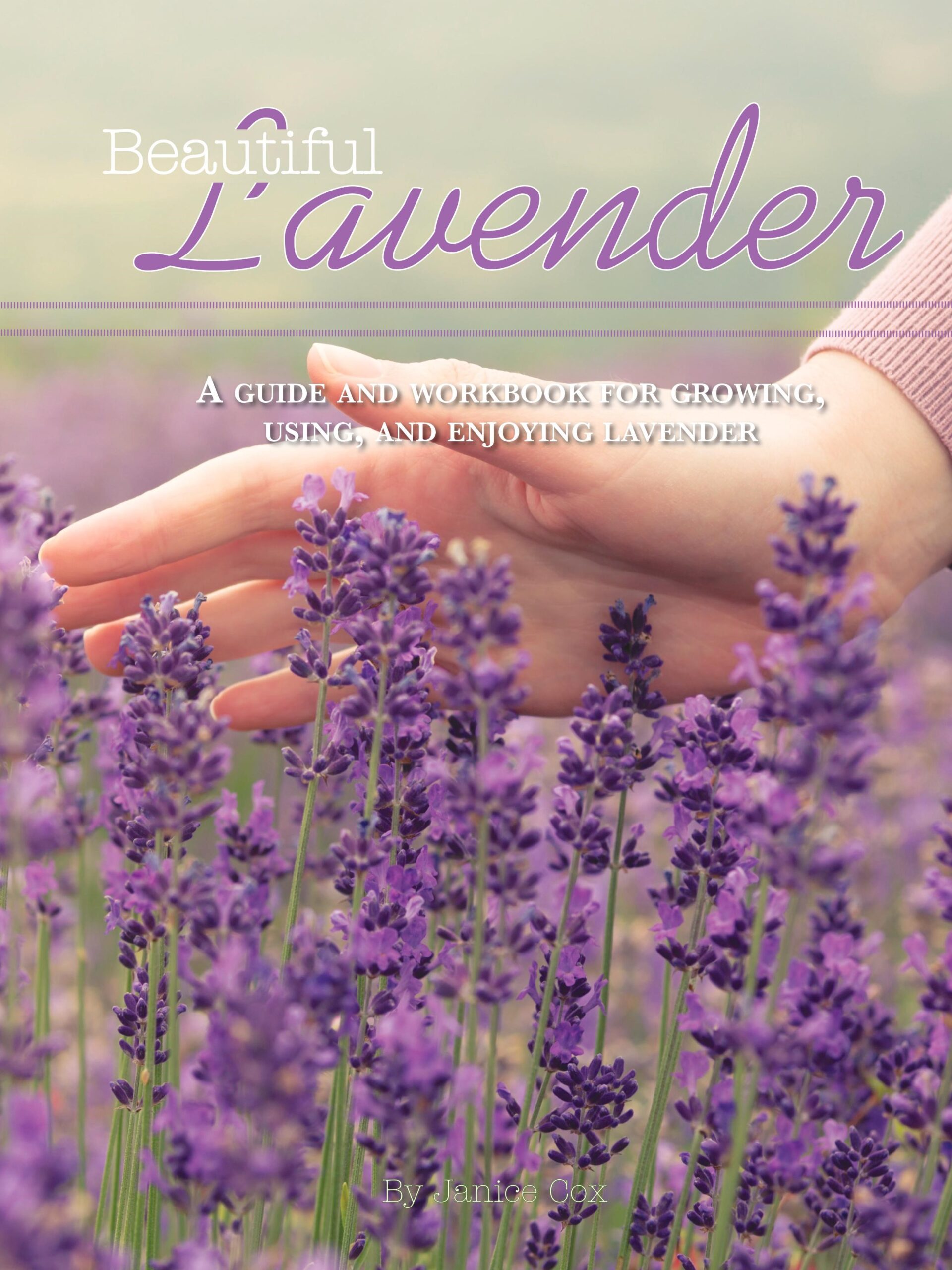 lavender-book-cover