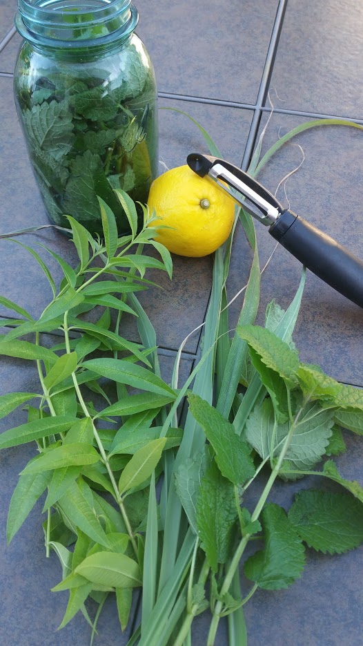 lemon herbs for liqueur and jar