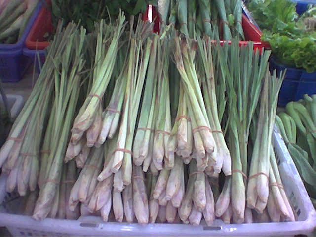 lemongrass bulbs