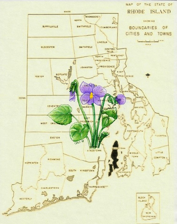 map smaller