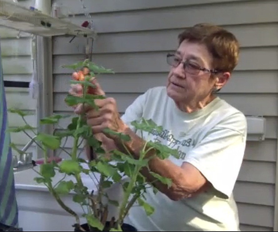 Mary maran
