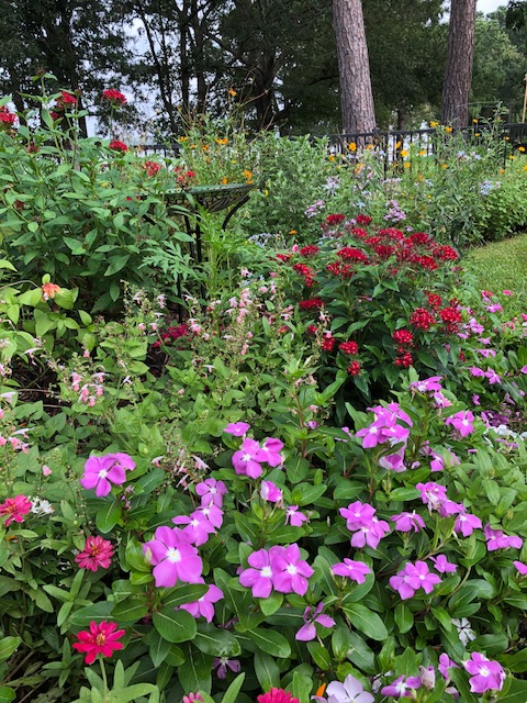 Maryann Readal garden