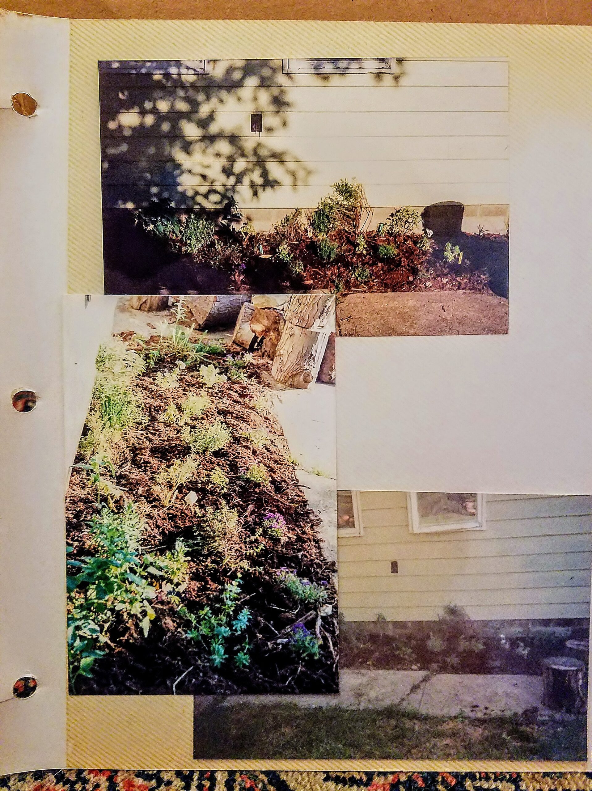 Melridge herb garden
