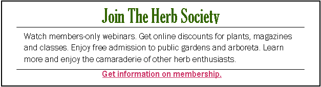 membership ad 2