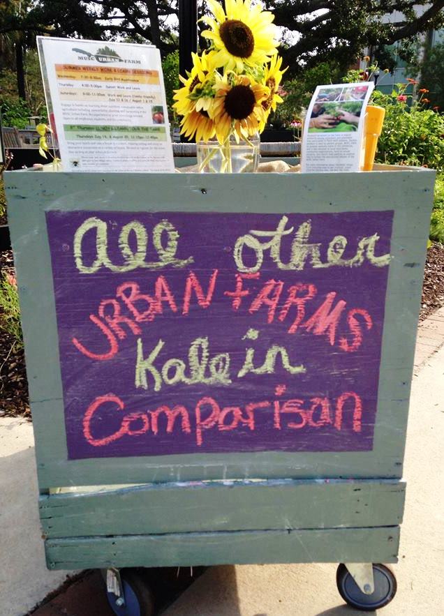 MUSC Urban farm