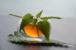 A small round glass bowl of brown tea with fresh nettle leaves