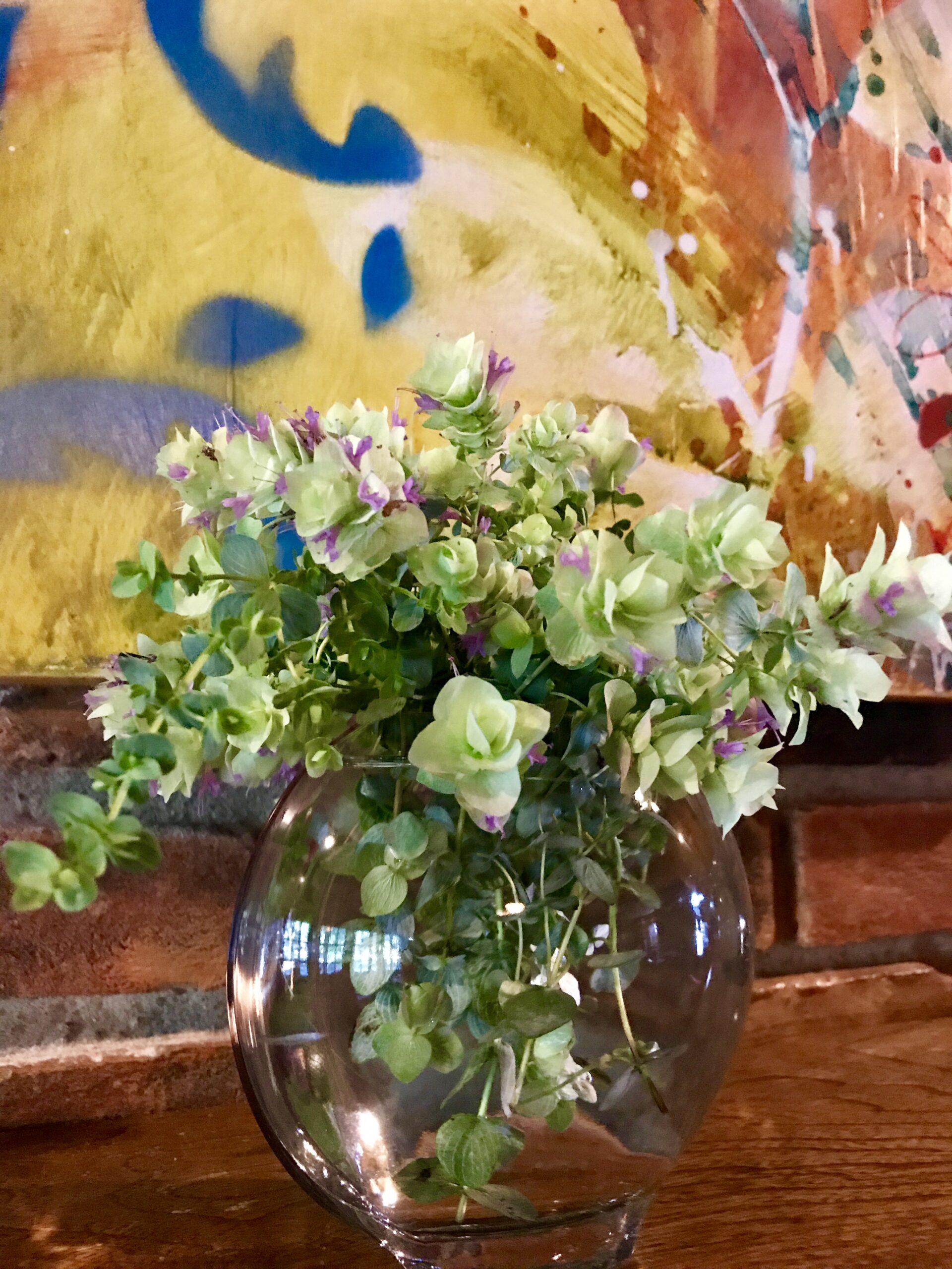 Ornamental oregano vase