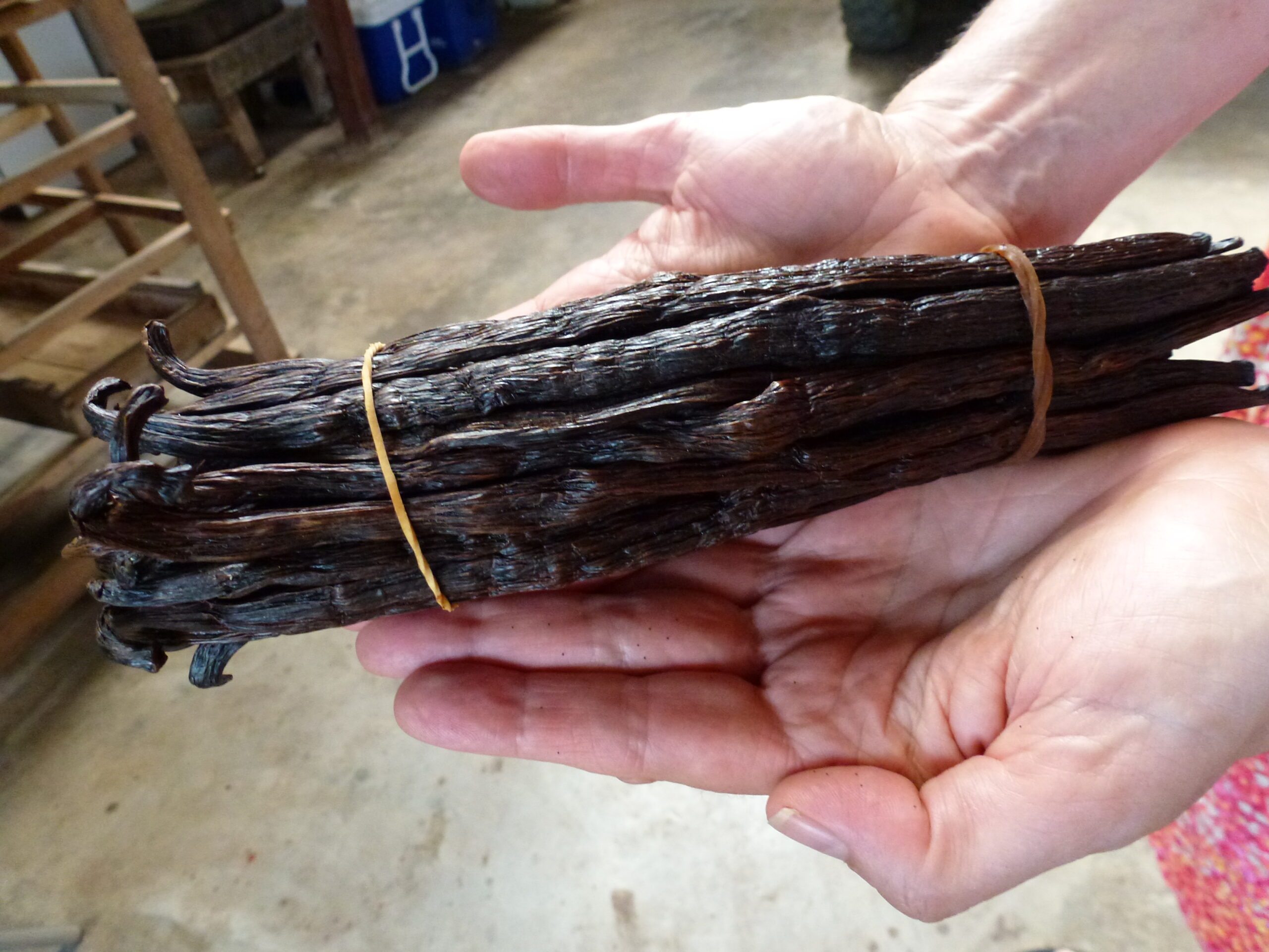 Homemade Vanilla Extract