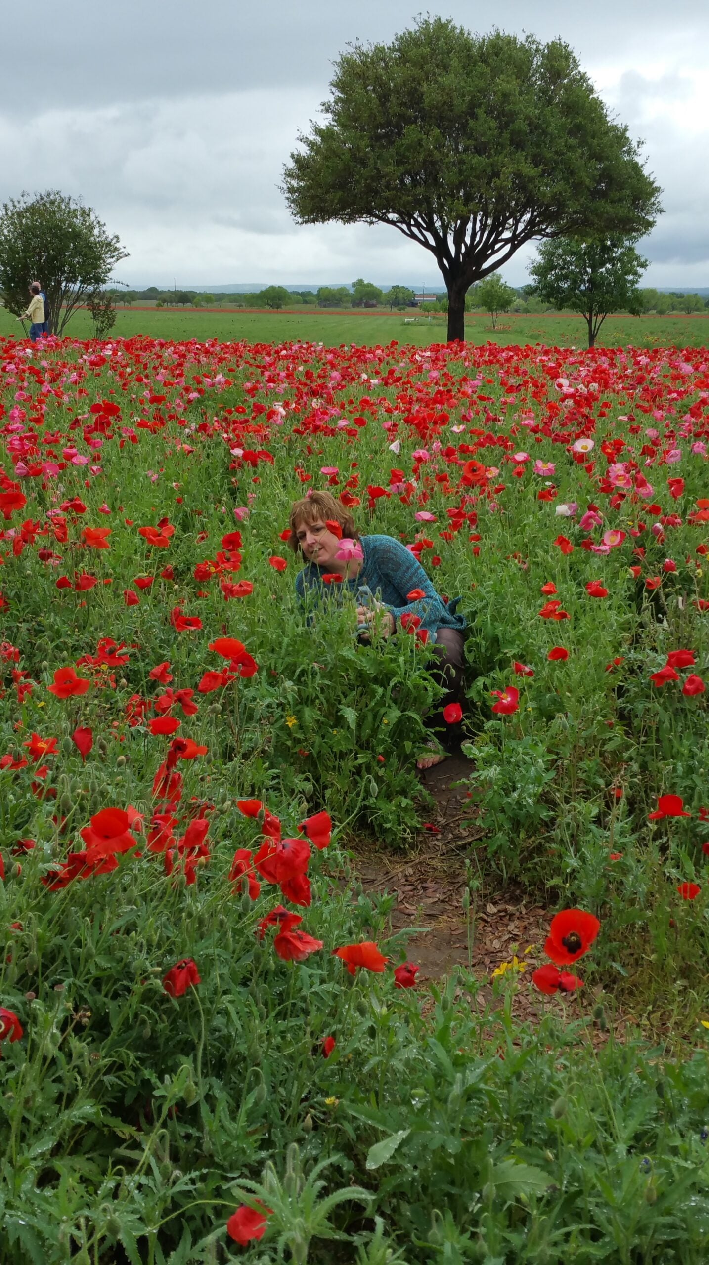 Paris in poppies