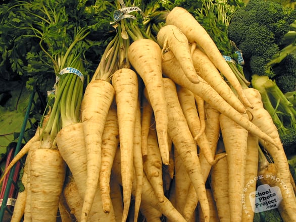 parsley root school project