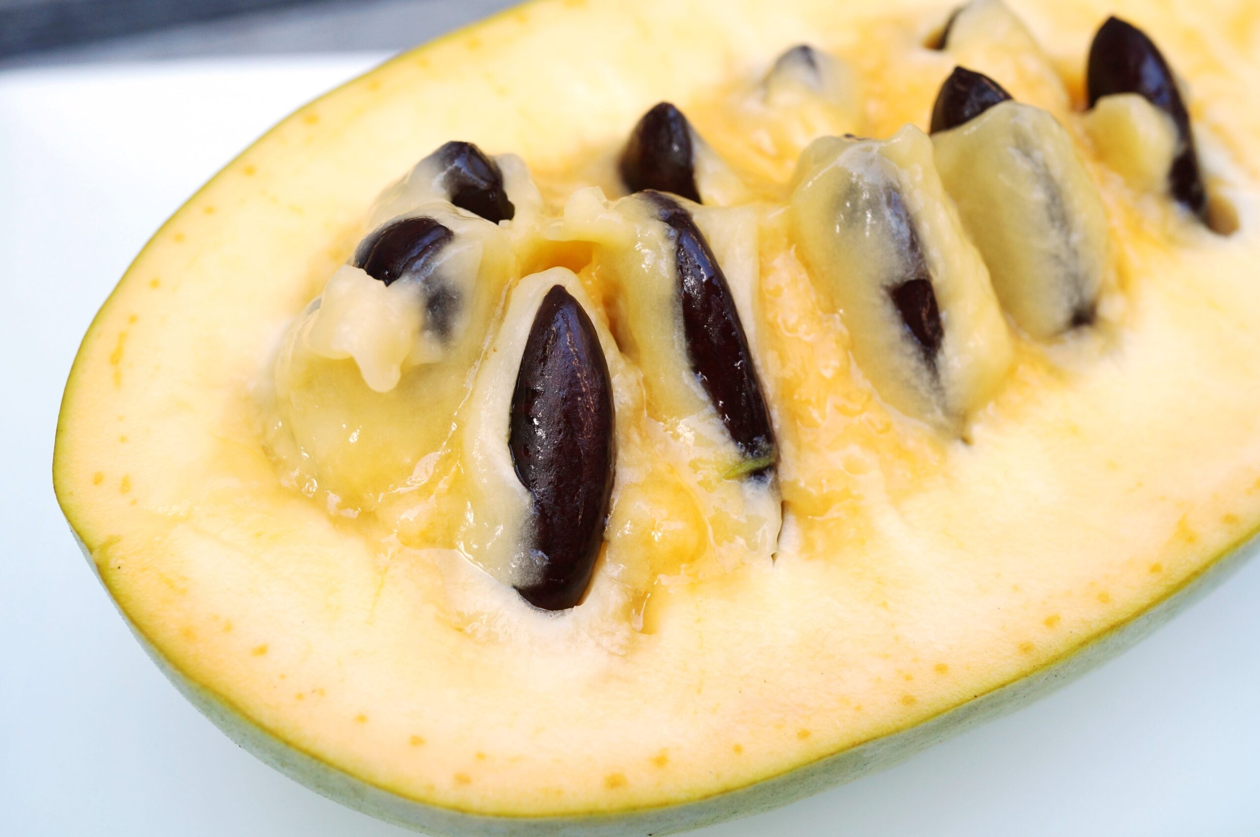 pawpaw open