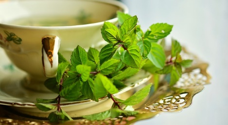 peppermint for Xmas