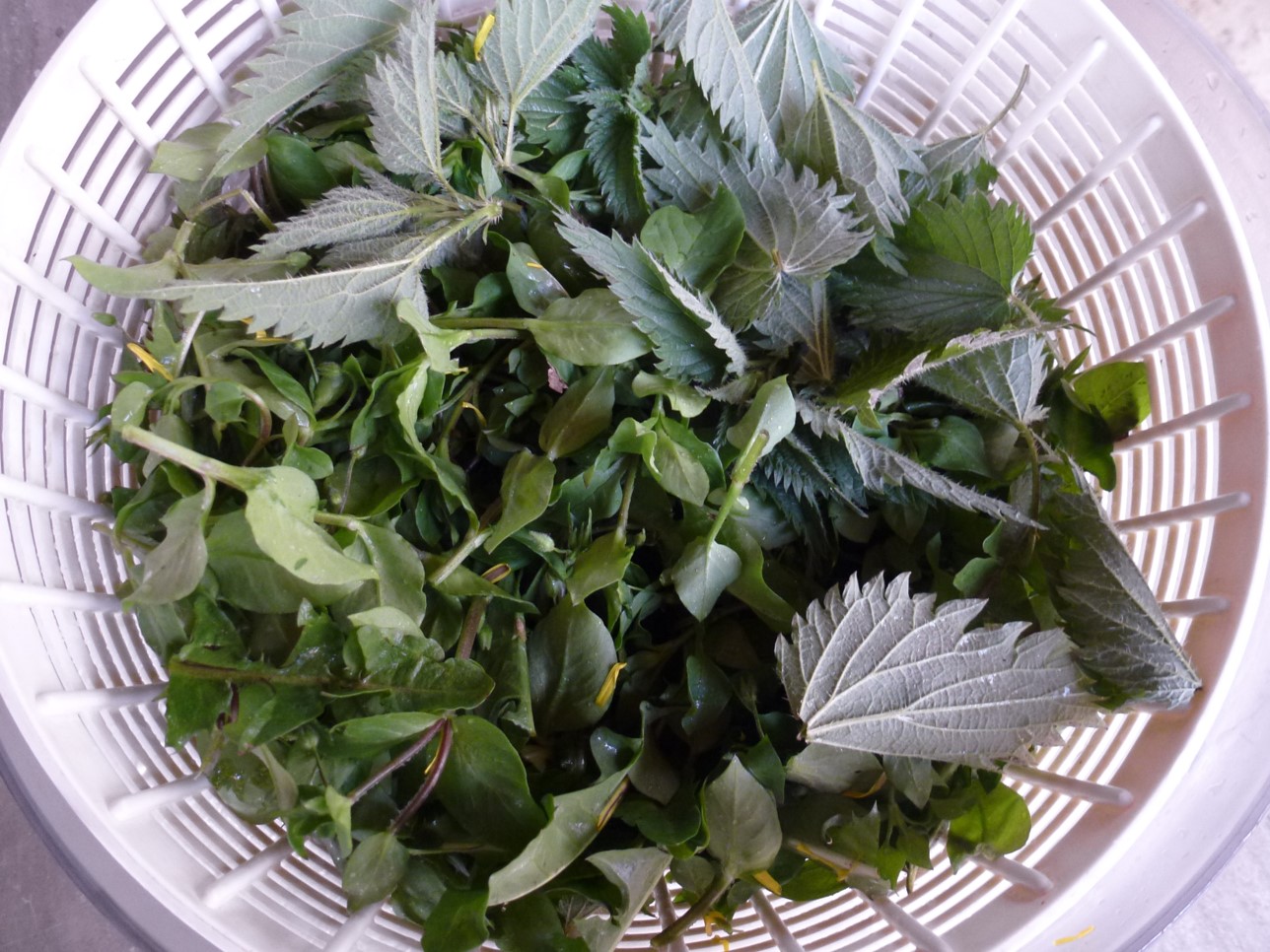 Washing foraged greens
