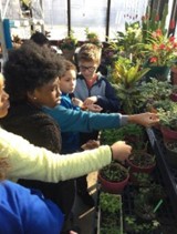 Kids reach out to touch plants