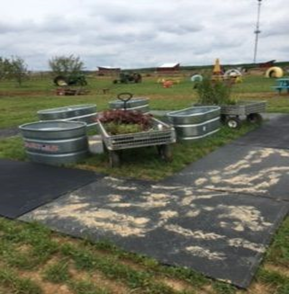 Horse stall mats and water troughs arranged to allow visitors to easily access plants