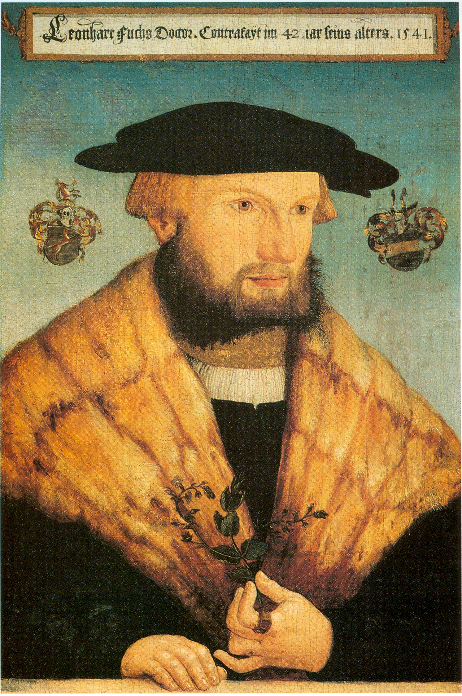 Renaissance painting of Leonhart Fuchs by Heinrich Fullmaurer