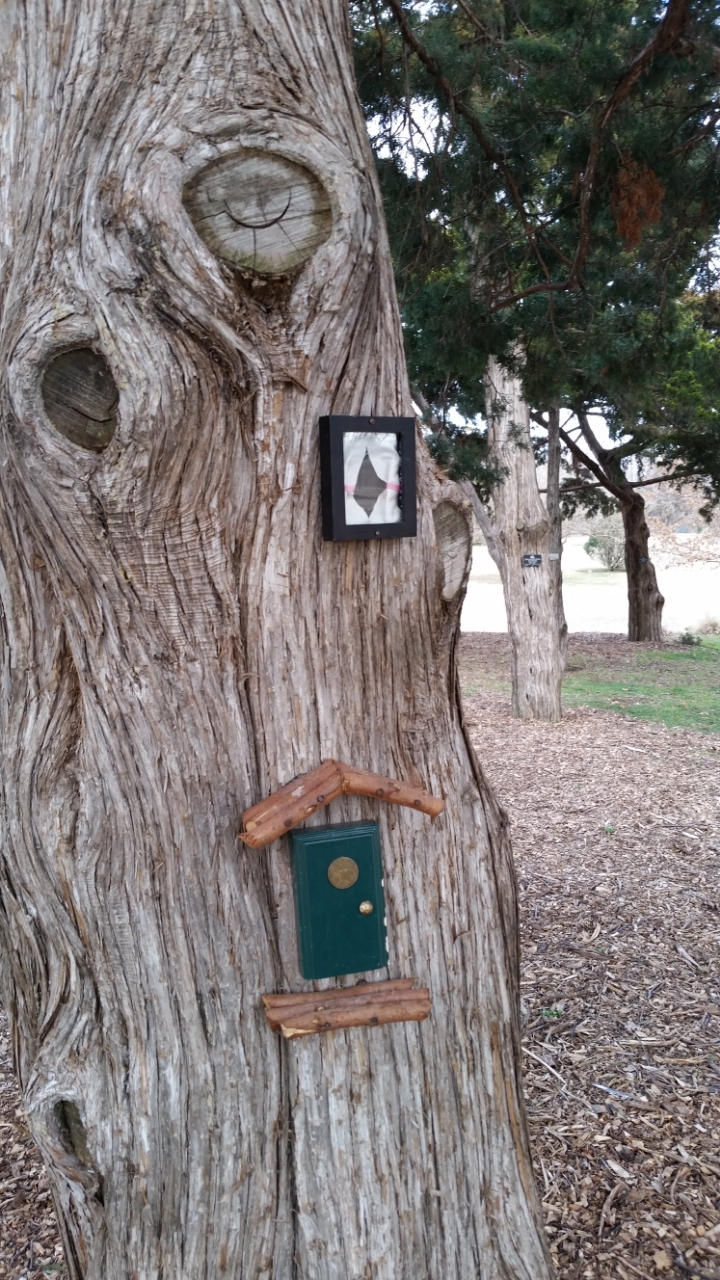 Miniature door and window in tree