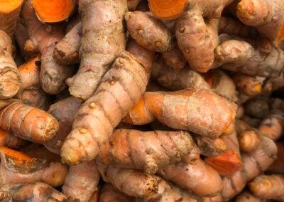 Our Experience Cultivating & Harvesting Turmeric