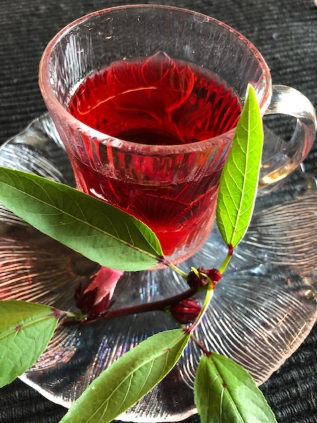 roselle tea