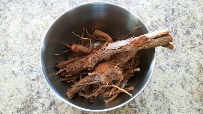 Sassafras root